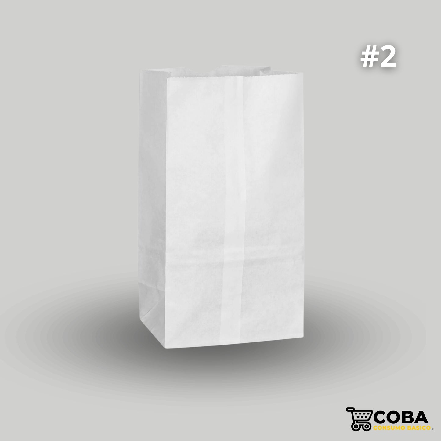 Bolsa biodegradable de papel #2 con 100 piezas