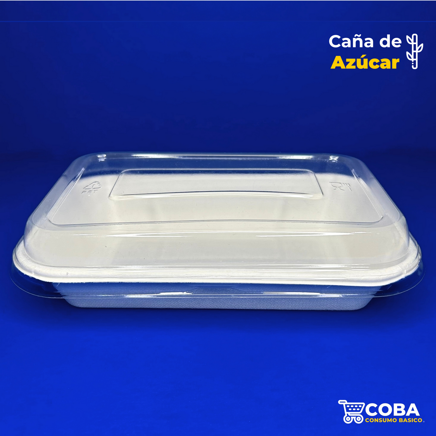Contenedor de caña de azúcar rectangular de 24 oz con tapa